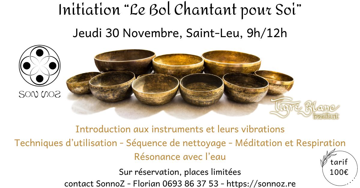 Initiation formation sonothérapie bols chantants bols tibétains La Réunion Saint-Leu